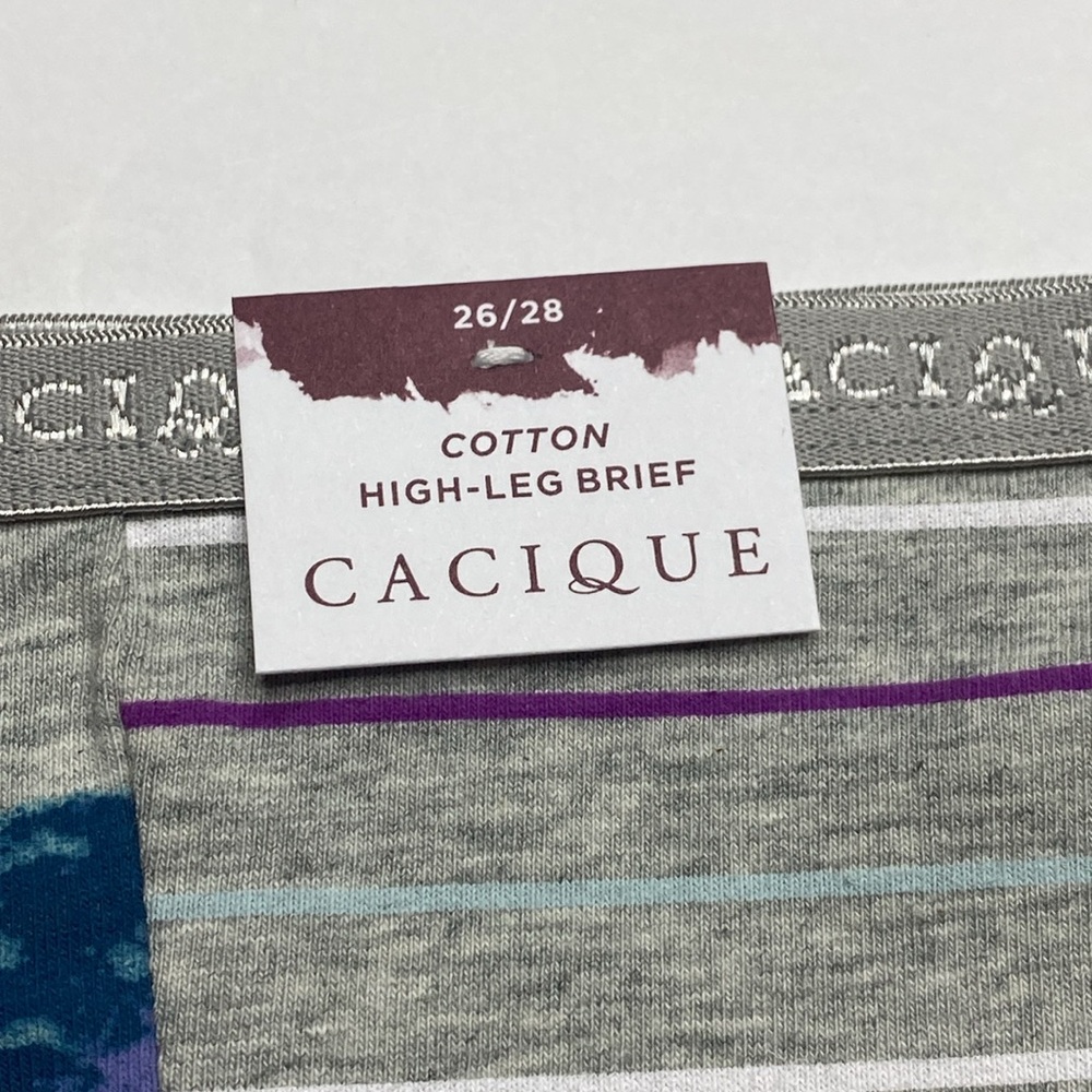 Gray purple floral stripe cotton high leg brief panty NWT Lane Bryant plus size - Picture 7 of 12